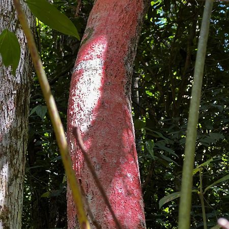 Pousada Vale Das Aguias Jaguaruna Exterior foto