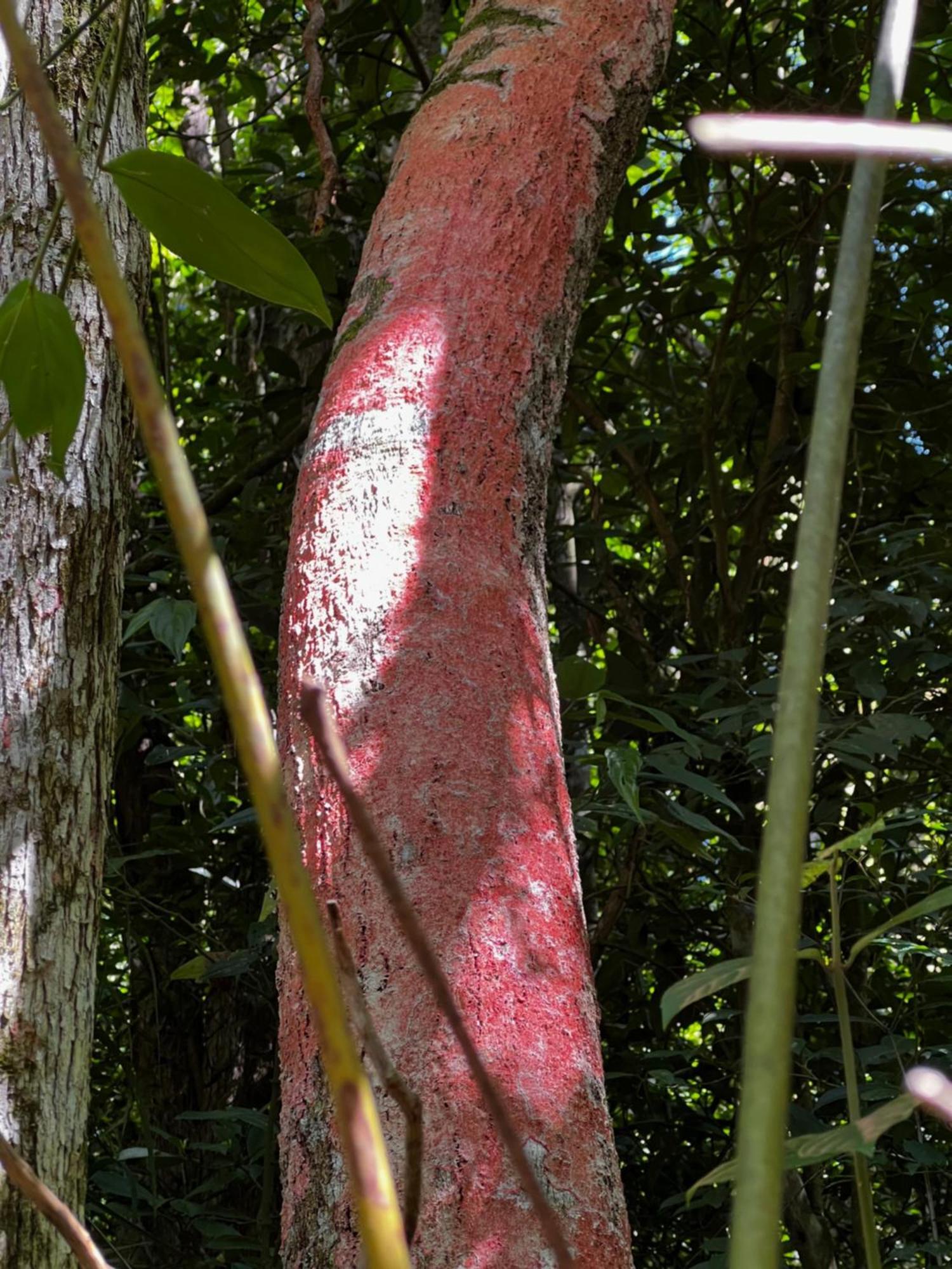 Pousada Vale Das Aguias Jaguaruna Exterior foto